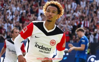 ag9游会-NBA哈里斯球员分析，聚焦哈里斯的比赛风格与表现